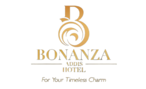 Bonanza Addis Hotel
